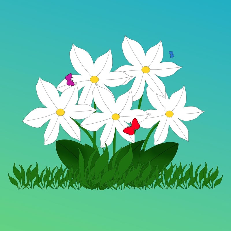 Digital Illustrator